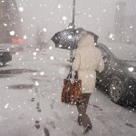 6 Things to Do in the Wake of a Storm