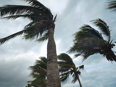 Sarasota Storms Prompt Businesses to Prepare for Tornado Safety