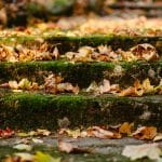 Upgrade Your Mats This Fall