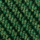 Spruce