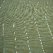Canvas Green