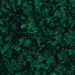 Fir Green