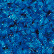Solid Blue