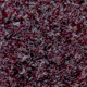 Ash Berry