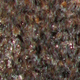 Sandstone