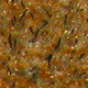 Sandbar