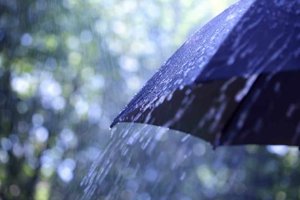 Unless You Prepare, Spring Rains Can Leave Your Business Soaked in Slip and Fall Claims